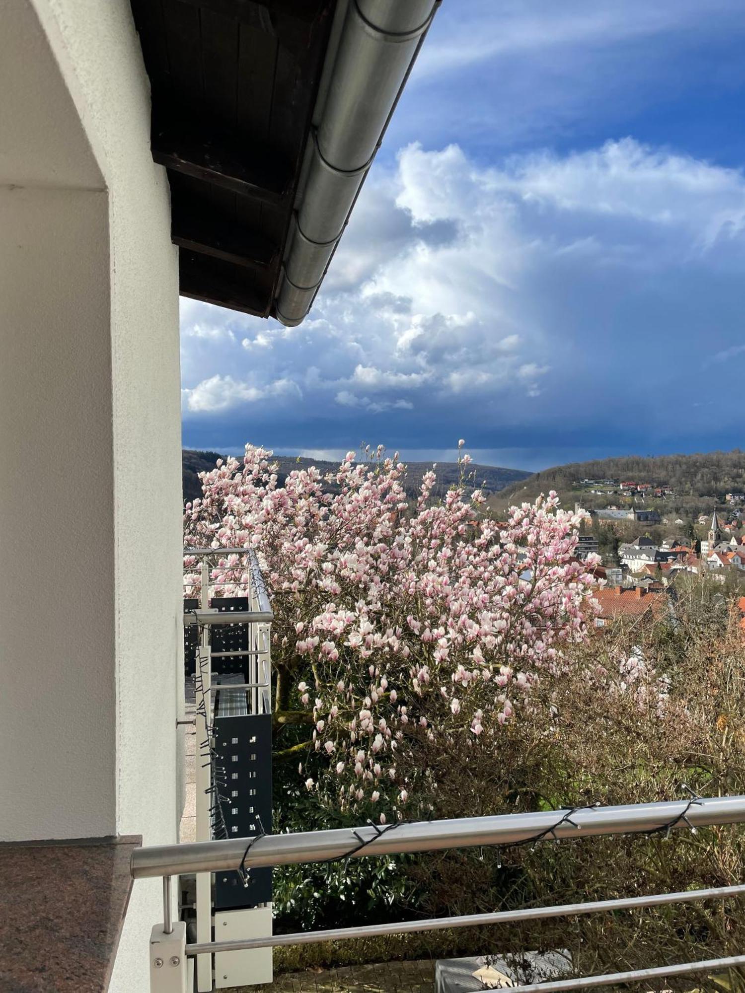 Ferienhaus Chalet Andante Hannoversch Münden Εξωτερικό φωτογραφία